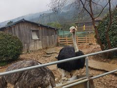 -无锡动物园·太湖欢乐园