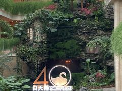 -白天鹅宾馆-宏图府餐厅