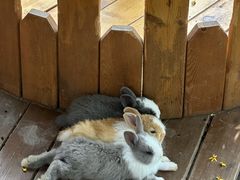 -HERRE·FARM 赫尔露营农场·团建聚会包场