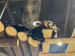 -Zoolung Zoolung动物主题公园(海信广场店)