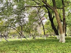 -范蠡湖公园