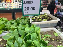 -北京华联购物中心(天通苑店)