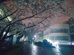 -同济大排档