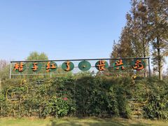 -前小桔亲子创意农场·草莓采摘·露营烧烤