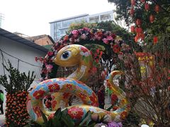 -越秀西湖花市(广州城市广场花卉店)