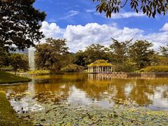 -中国科学院西双版纳热带植物园