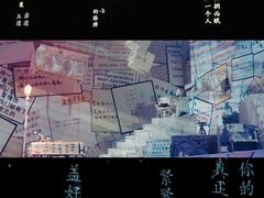 -荷兰花海