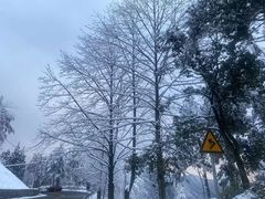 -四明山国家森林公园