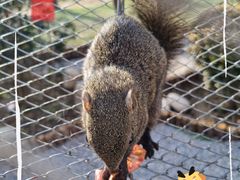 -遇见世外桃源教育农场