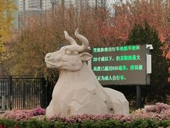 -永定河休闲森林公园