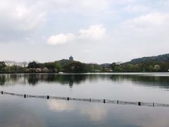 -西湖外事游船(花港观鱼码头)