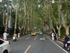 -应天大明王朝·南京菜(中山陵店)