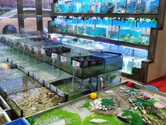 -民丰饭店(海丰黄江医院西)