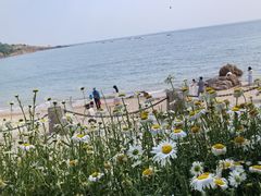 -青岛海滨风景区