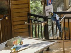 -燕塞湖鸟语林景区