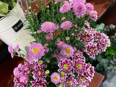 -何兮花店·气球派对鲜花店(马桥银春路万科城店)