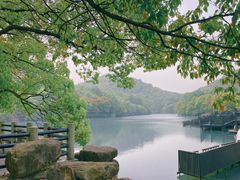 -白马涧龙池景区