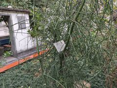 -广州神农草堂中医药博物馆