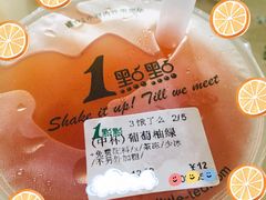 葡萄柚绿-1点点(南塘金茂府店)
