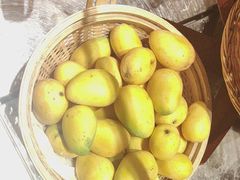 -杭州开元名都大酒店·地中海自助餐厅