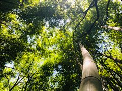 -竹海听涛生态山庄