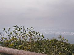 -紫金山山顶公园