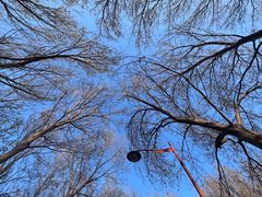 -长春公园(普阳街道)