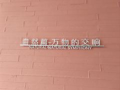 -四川大学博物馆