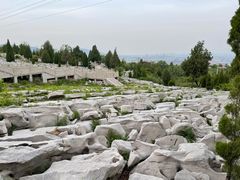 -原山国家森林公园