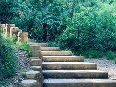 -北京西山国家森林公园