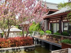 -莲西餐(曲江店)