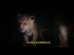 -金逸影城(荟聚IMAX激光店)