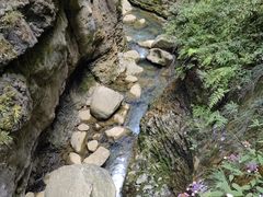 -鹿院坪生态旅游景区
