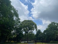 -上海市龙华烈士陵园