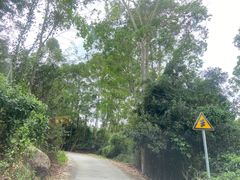 -汕头莲花山度假村温泉