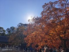-香山公园