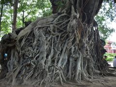 -闽粤南澳总镇府