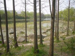-新江湾城公园