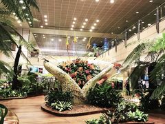 -樟宜机场免税店