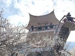 -广州市流溪河国家森林公园