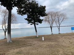 -漕湖湿地公园