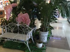 -凯德MALL(望京店)