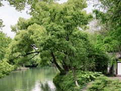 -西溪国家湿地公园