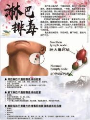 -香薇妮丝·定制减肥·身材管理