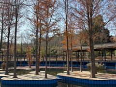 -黄陂区野村谷景区