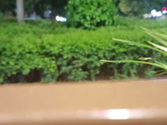 -鸡毛店·川菜(双楠店)