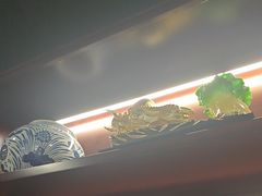 -东口码头·烧鸽子·鱼头泡饼·地方菜(金鹰悦城店)