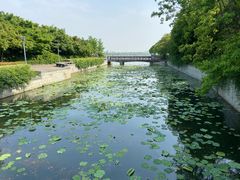 -蠡湖大桥公园