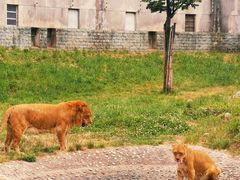 -西安秦岭野生动物园