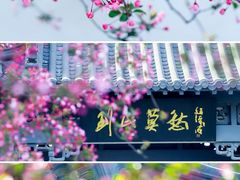 -莫愁湖公园